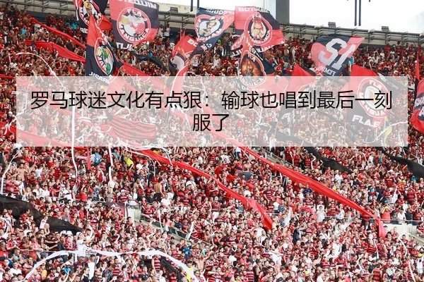 luo-ma-qiu-mi-wen-hua-you-dian-hen-shu-qiu-ye-chang-dao-zui-hou-yi-ke-fu-le-1-994.jpg
